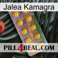 Jelly Kamagra new11